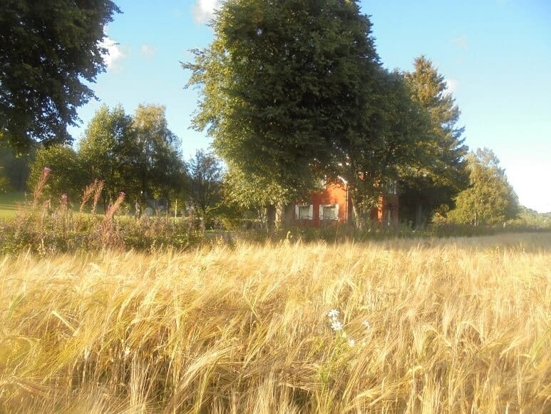 DSC00004_Fotor