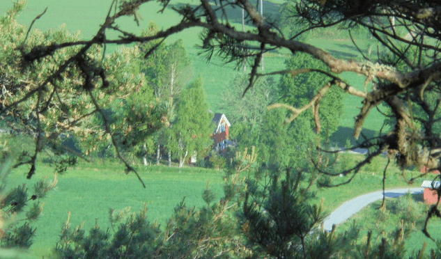 flighttrees