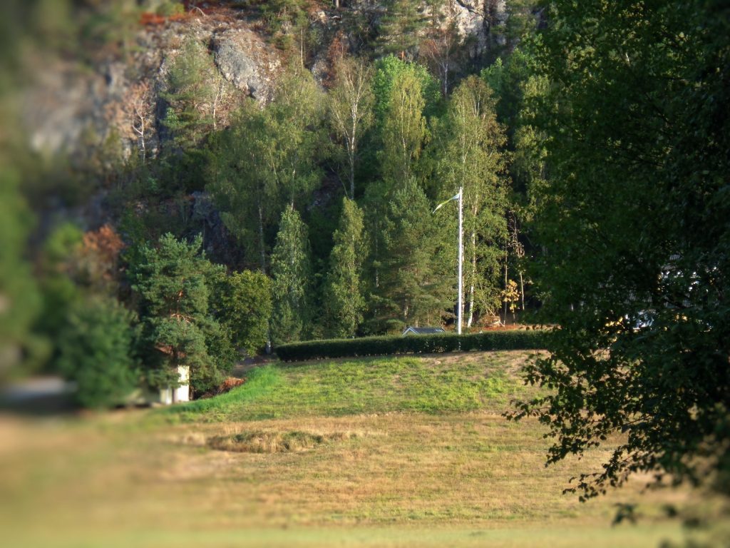 DSC00280_F